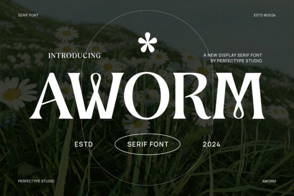 Aworm: A Serif Typeface That Brings Warmth to Web Interfaces
