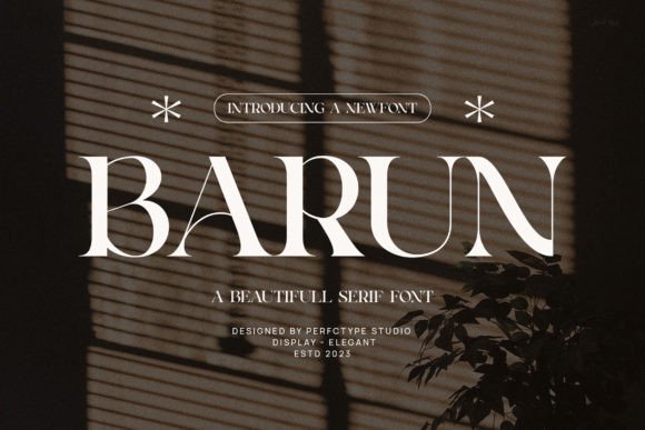 Barun: The Serif Font That Polishes Small Business Branding