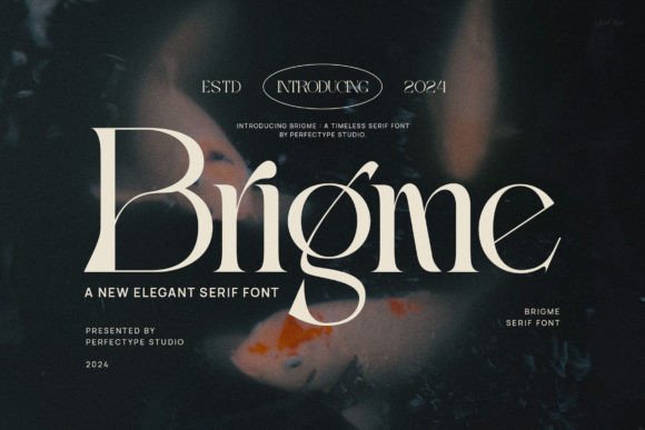 Brigme: A Serif Font That Brings Editorial Warmth to Any Layout