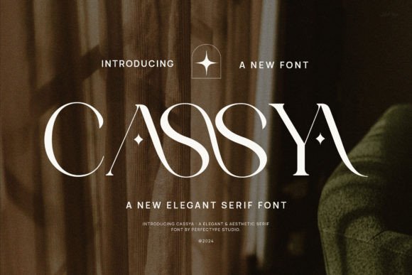Cassya Serif Font: A Campaign Designer’s Practical Review