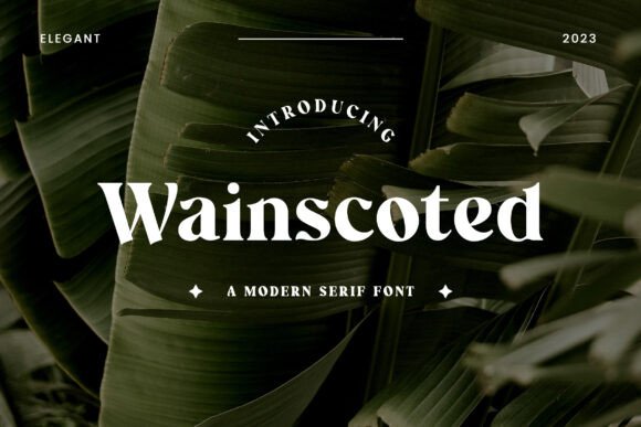Wainscoted: A Charming Sans Serif Font for Handmade Crafts